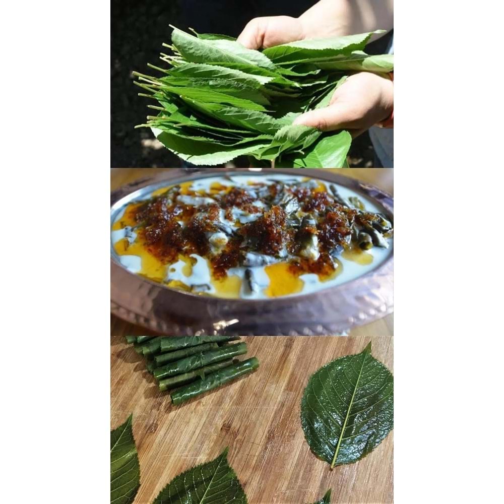 Malatya Kiraz Yaprağı Salamura 3 lik Bidon