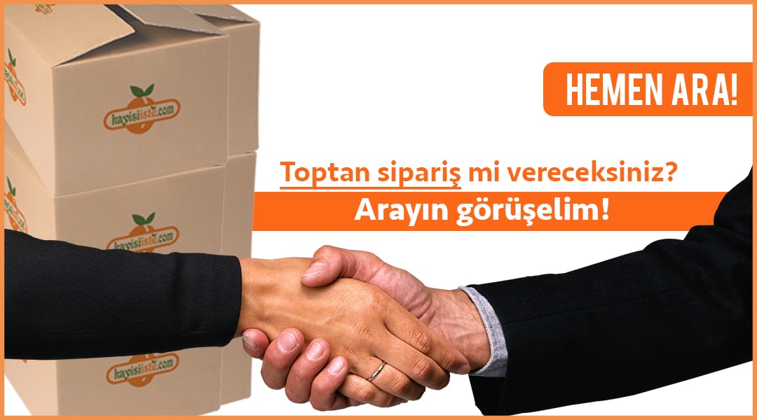 Toptan Kayısı Sipariş